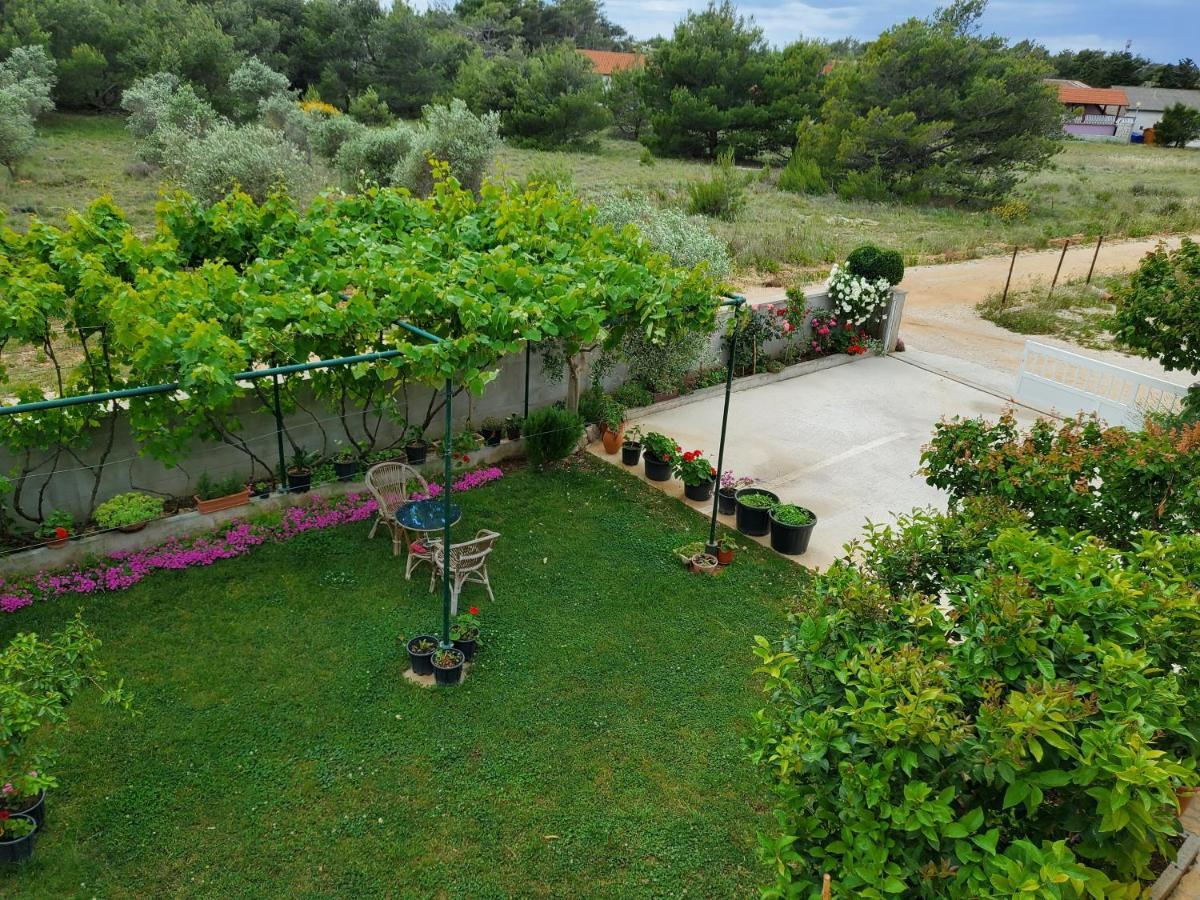 Apartmani Zarko วีร์ ภายนอก รูปภาพ